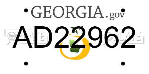 AD22962 Georgia License Plate