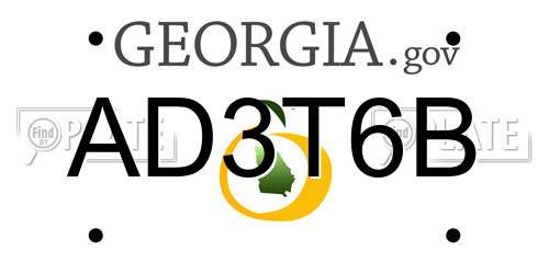 AD3T6B Georgia License Plate