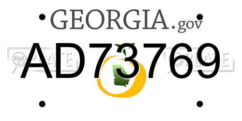 AD73769 Georgia License Plate