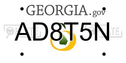 AD8T5N Georgia License Plate
