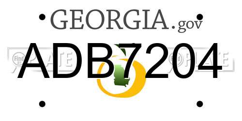 ADB7204 Georgia License Plate