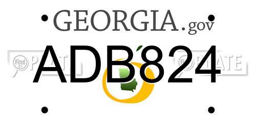ADB824 Georgia License Plate