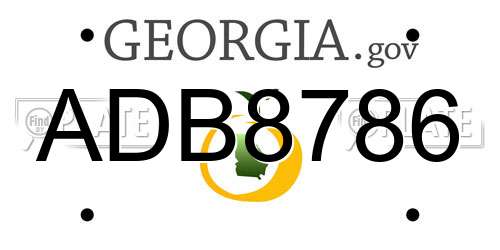 ADB8786 Georgia License Plate