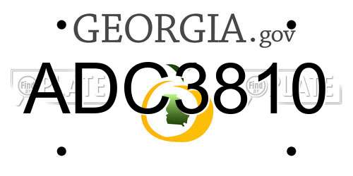 ADC3810 Georgia License Plate