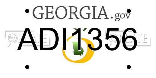 ADI1356 Georgia License Plate