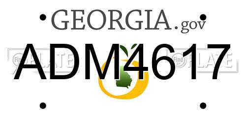ADM4617 Georgia License Plate