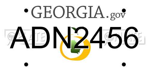 ADN2456 Georgia License Plate