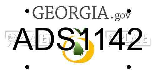 ADS1142 Georgia License Plate
