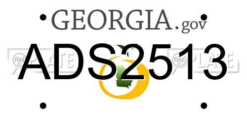 ADS2513 Georgia License Plate