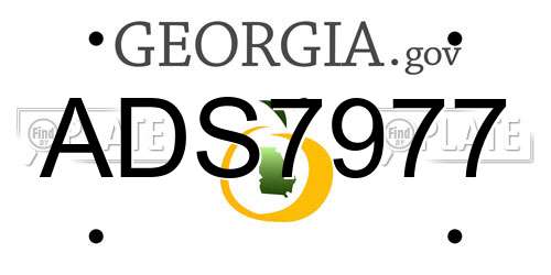 ADS7977 Georgia License Plate