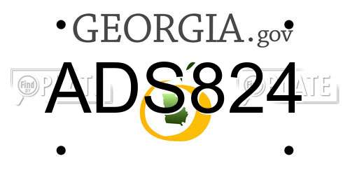 ADS824 Georgia License Plate