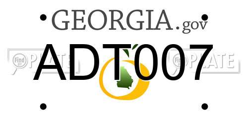 ADT007 Georgia License Plate