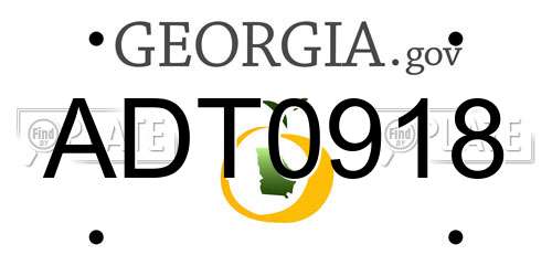 ADT0918 Georgia License Plate