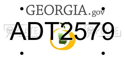 ADT2579 Georgia License Plate