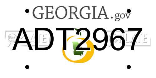ADT2967 Georgia License Plate