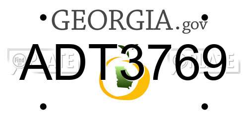 ADT3769 Georgia License Plate