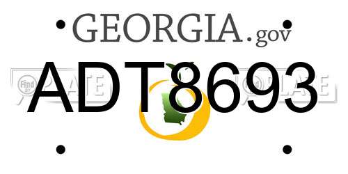 ADT8693 Georgia License Plate
