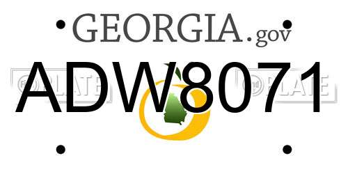 ADW8071 Georgia License Plate