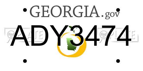 ADY3474 Georgia License Plate