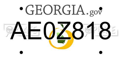 AE0Z818 Georgia License Plate