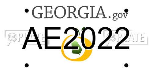 AE2022 Georgia License Plate