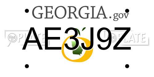 AE3J9Z Georgia License Plate