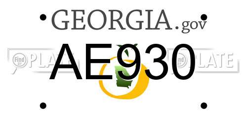 AE930 Georgia License Plate