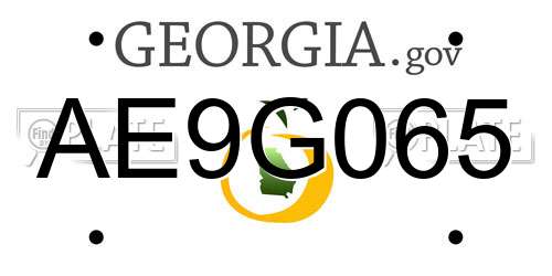 AE9G065 Georgia License Plate