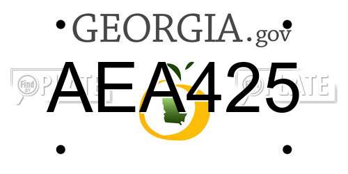 AEA425 Georgia License Plate