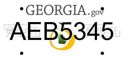 AEB5345 Georgia License Plate