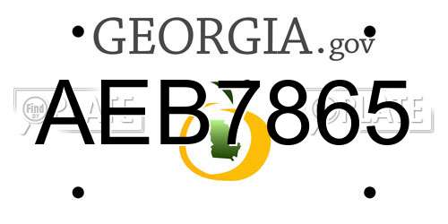 AEB7865 Georgia License Plate