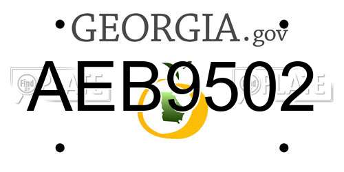 AEB9502 Georgia License Plate