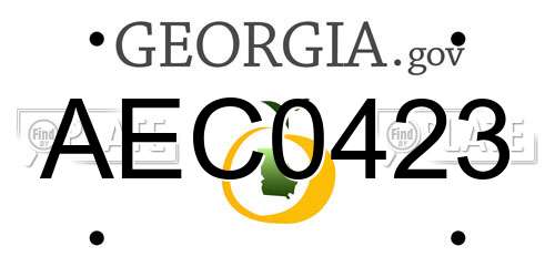 AEC0423 Georgia License Plate
