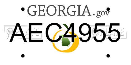 AEC4955 Georgia License Plate