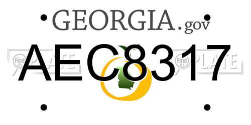 AEC8317 Georgia License Plate