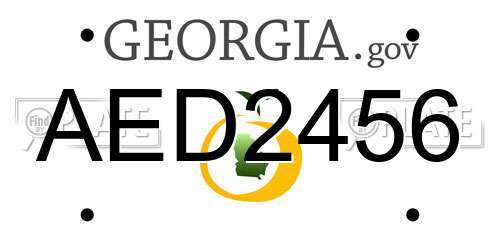 AED2456 Georgia License Plate
