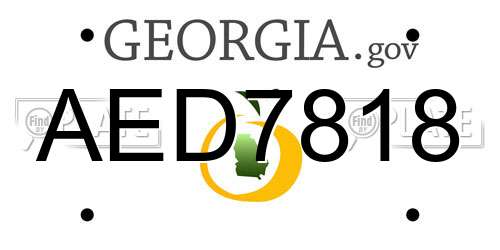 AED7818 Georgia License Plate