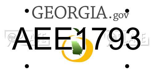 AEE1793 Georgia License Plate