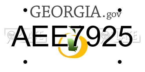 AEE7925 Georgia License Plate