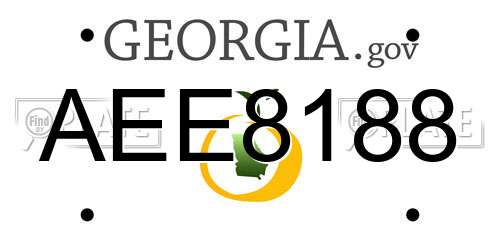 AEE8188 Georgia License Plate