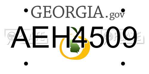 AEH4509 Georgia License Plate
