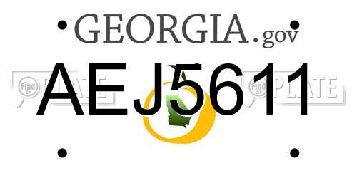 AEJ5611 Georgia License Plate