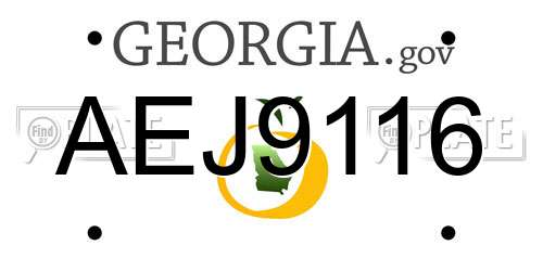 AEJ9116 Georgia License Plate