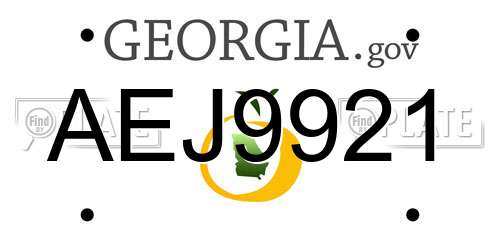 AEJ9921 Georgia License Plate