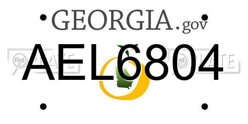 AEL6804 Georgia License Plate