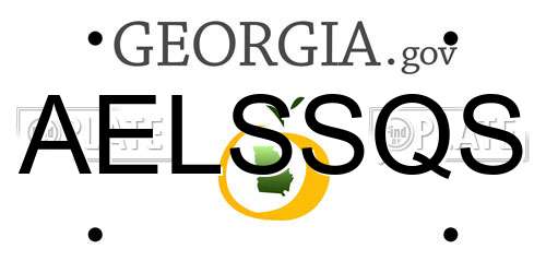 AELSSQS Georgia License Plate