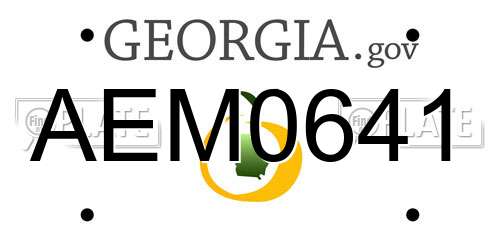 AEM0641 Georgia License Plate
