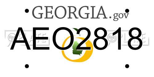 AEO2818 Georgia License Plate