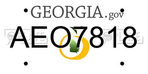 AEO7818 Georgia License Plate