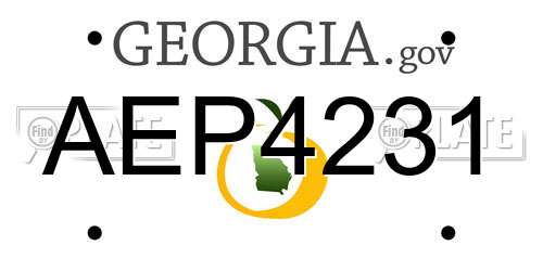 AEP4231 Georgia License Plate